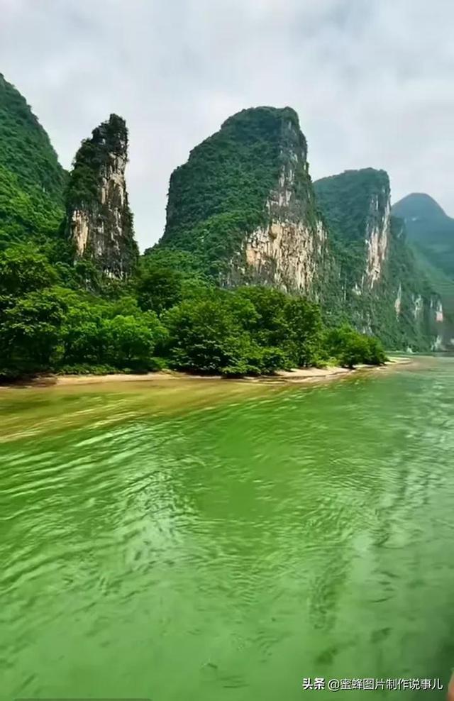 大家会把袜子和内衣裤混洗吗？